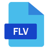 FLV file format